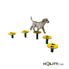 percorso-per-agility-dog-h521-32