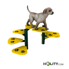 scala-per-percorso-agility-dog-h521_35