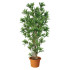 dracaena-boschetto-verde-pianta-artificiale-h9307