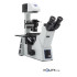 microscopio-invertito-da-laboratorio-h595_08