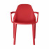 sedia-in-plastica-con-braccioli-piu-scab-h74341